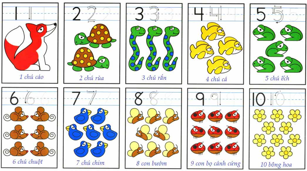 Cùng xem các bé mầm non giải toán thật khéo léo và đáng yêu qua bài tập toán trẻ mầm non với những lời giải thú vị nhé!